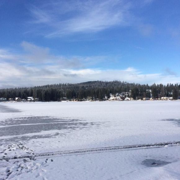 Meet your Posher, Clayson - Picture 1 of 1